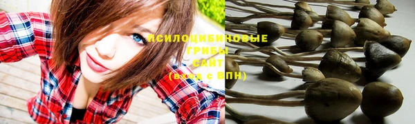 mdpv Кодинск