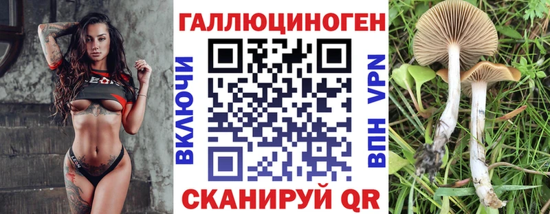Галлюциногенные грибы мицелий  Купить  Сельцо 